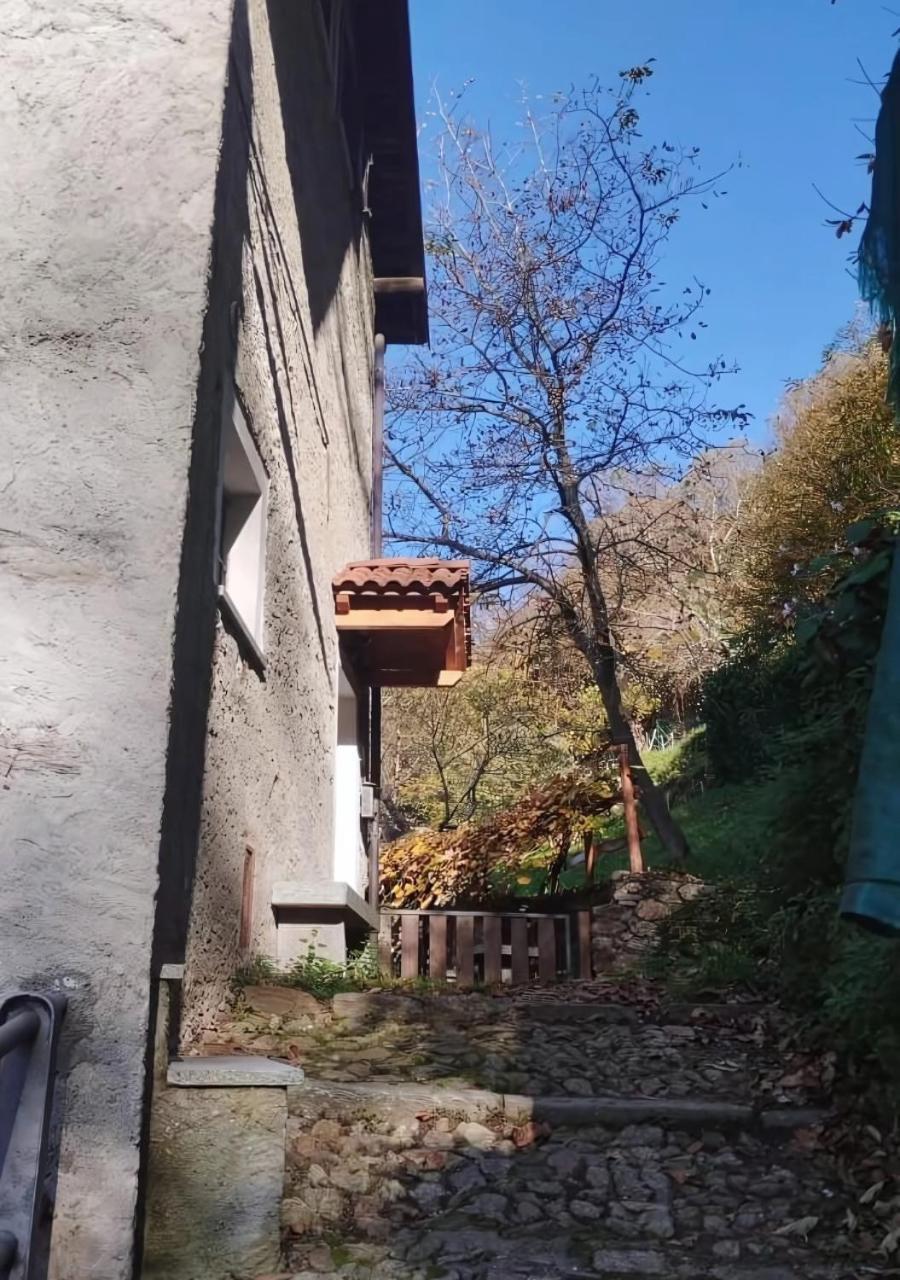 בלאנו Alpaca'S House: Green, Animals & Lake View מראה חיצוני תמונה